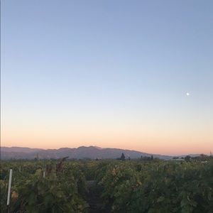 Meet your Posher, Ilana